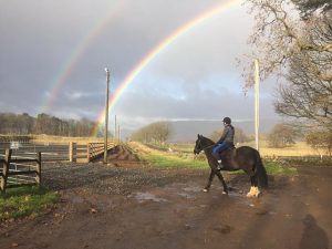 John Cameron Cavaletti Clinic @ Easterton Farm Park