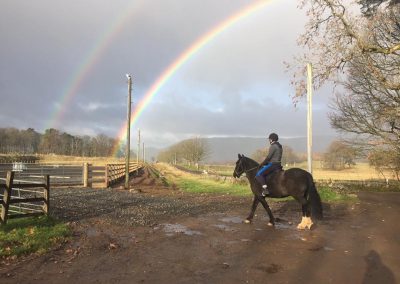 Rainbow over Eastfarm Park