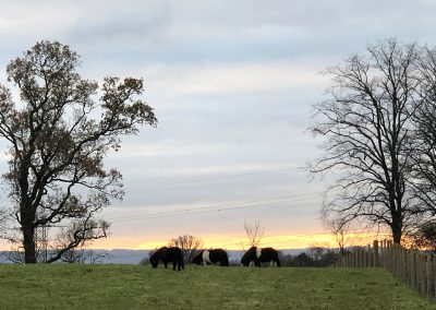 View over Eastfarm Park