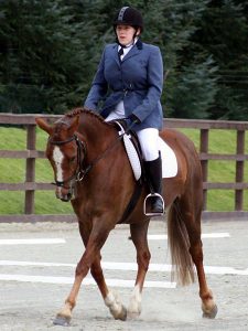 John Cameron Cavaletti Clinic @ Easterton Farm Park