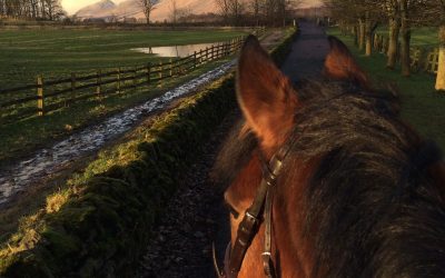 Top tips for what to wear when coming for your riding lesson